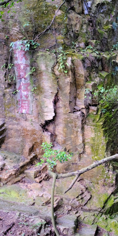 一代世紀海盜張保仔，他的寶藏「深埋」在長洲的張保仔洞人人都知。原來，他的藏寶之地多不勝數，南沙就有一個張寶仔洞。這個張寶仔洞以前只有潮退時才能走進，洞外海域古時常出現海市蜃樓奇景，令這個藏寶地添上神秘色彩。