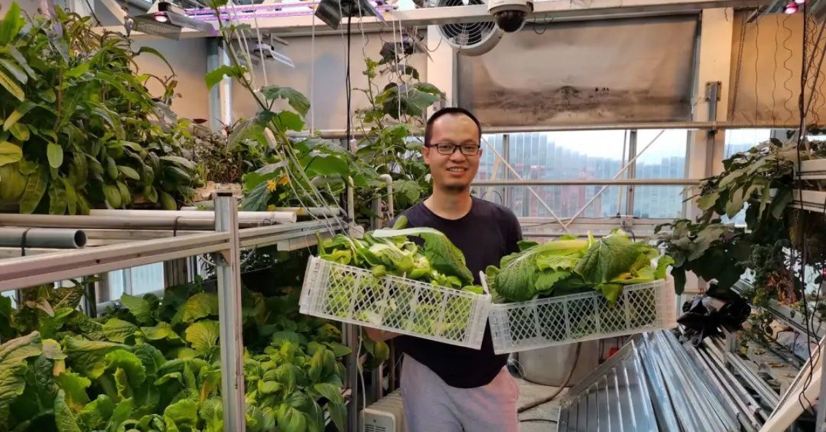 当代中国-科学探索-南极种菜