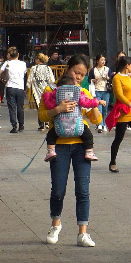 當代中國-粵港澳大灣區-深圳人口-深圳人口結構