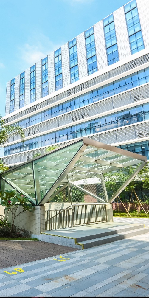 當代中國-粵港澳大灣區-深圳國際學校之一