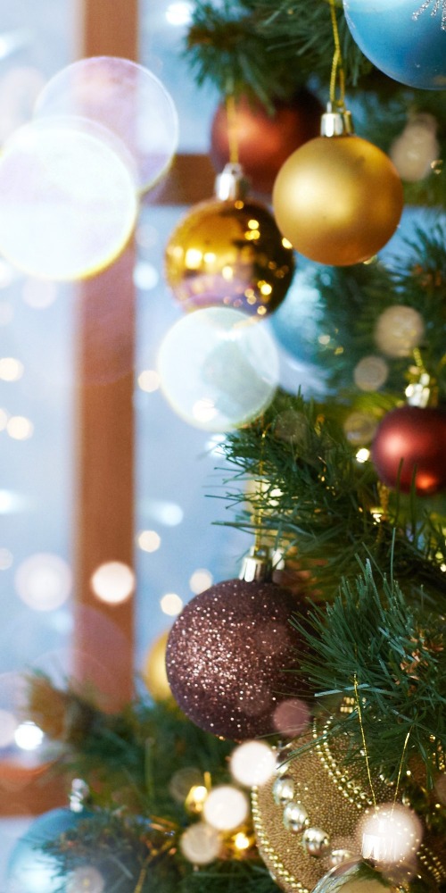 當代中國-粵港澳大灣區-深圳速度-深圳聖誕節cover