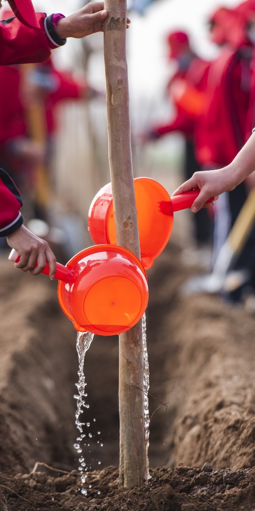 当代中国-粤港澳大湾区-乐活湾区-深圳速度-深圳劳动教育必修课cover