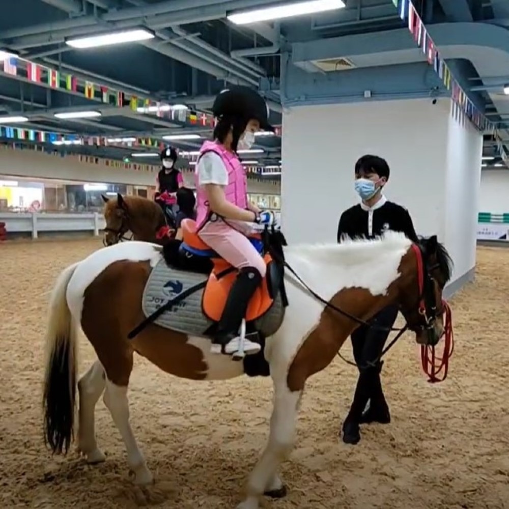 深圳騎馬訓練場十分多，不少還設於室內及大型商場內，舒適方便，是親子出遊好去處