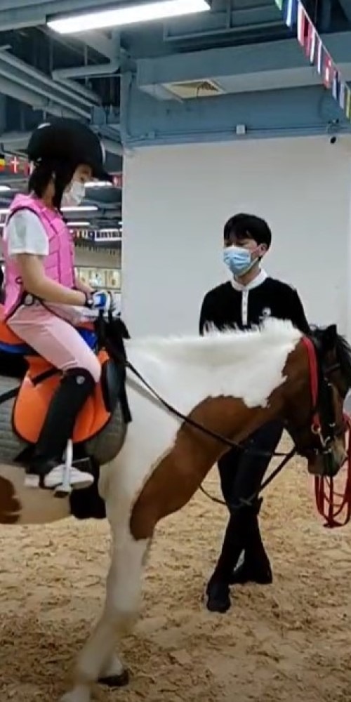 深圳骑马训练场十分多，不少还设于室内及大型商场内，舒适方便，是亲子出游好去处