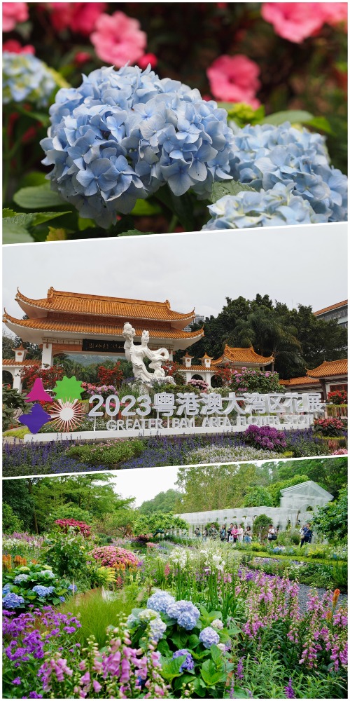 2023粤港澳大湾区花展