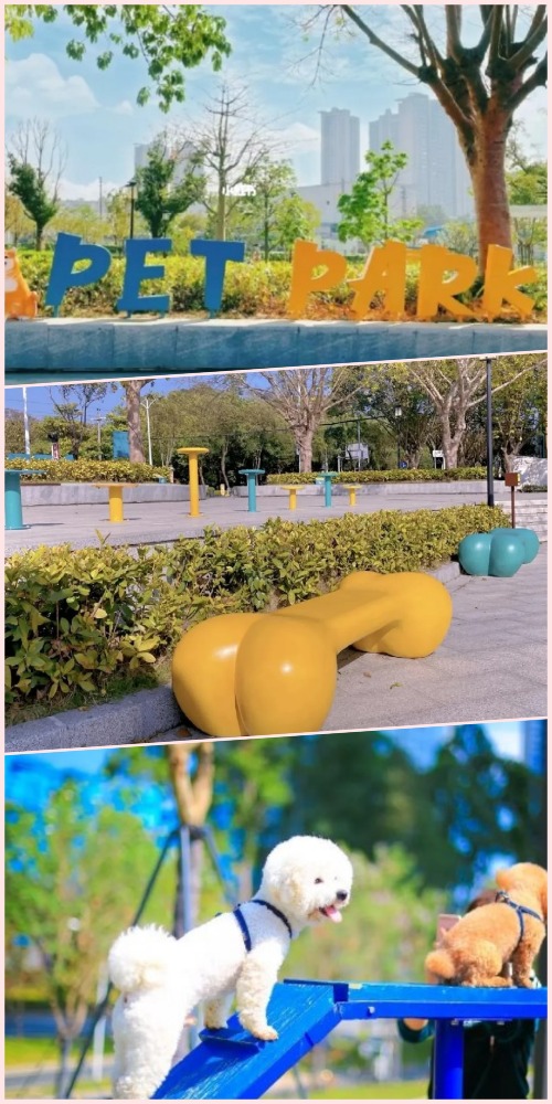 深圳宠物公园