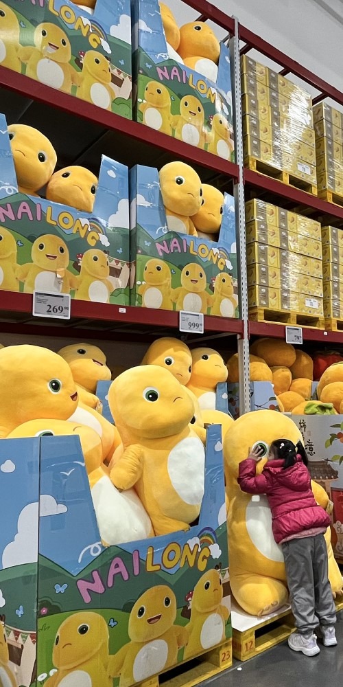 深圳山姆超市-奶龙