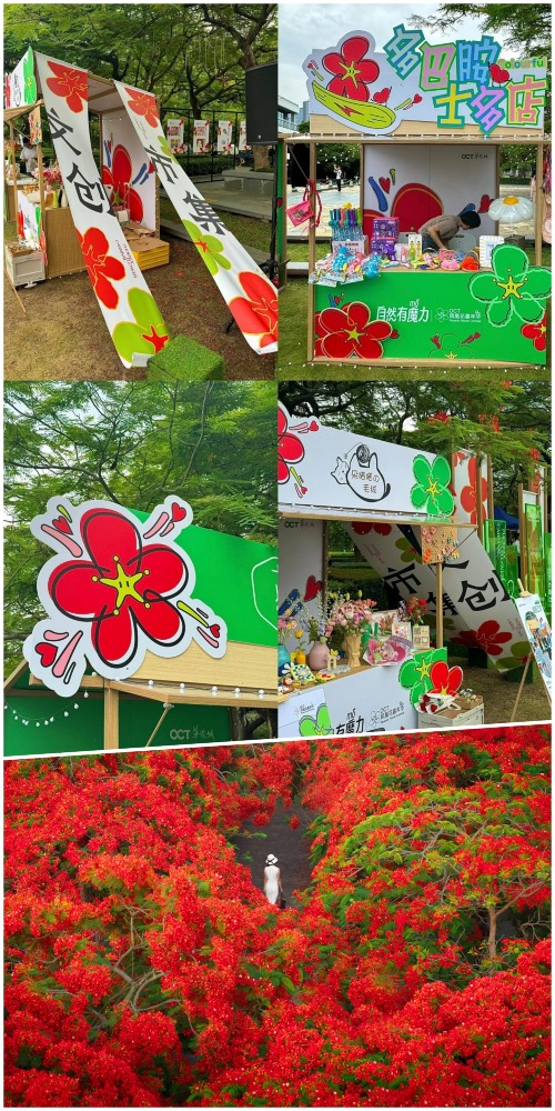 深圳華僑城鳳凰花嘉年華