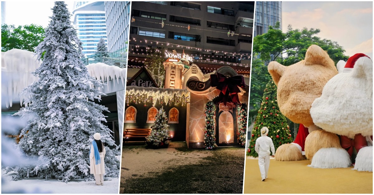 Shenzhen Christmas destinations 2024