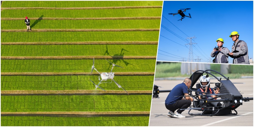 New Professions in the Low-altitude Economy