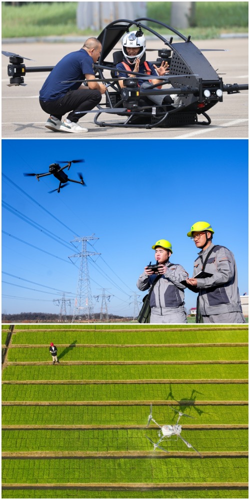 New Professions in the Low-altitude Economy