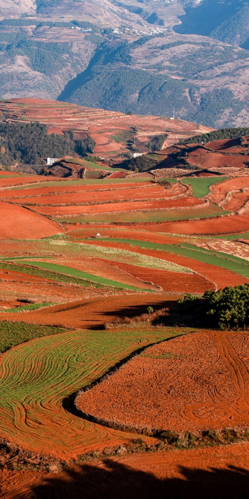 云南东川红土地