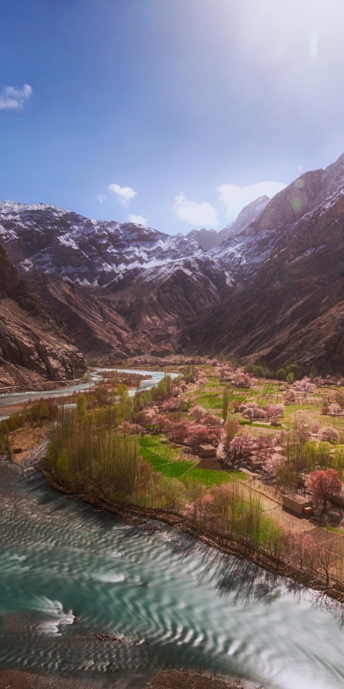 南疆帕米尔高原杏花村