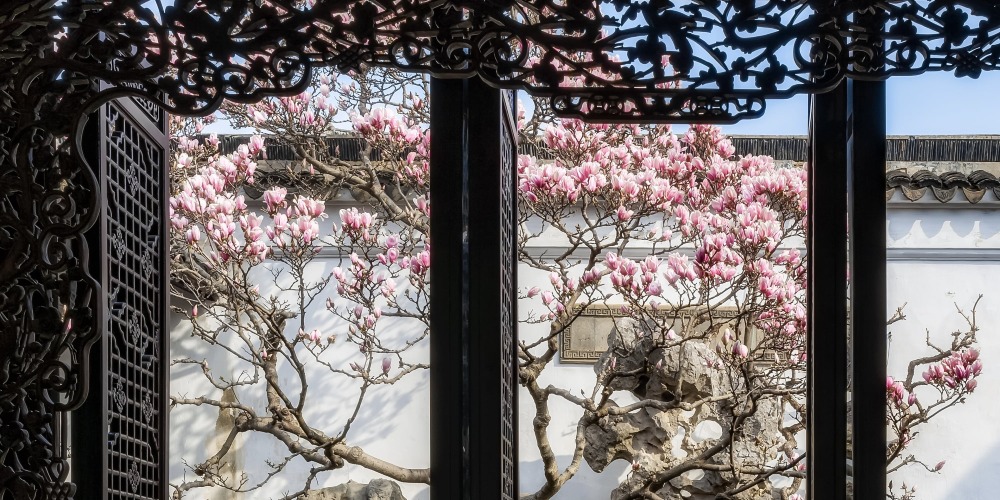 Suzhou Garden Flower Window