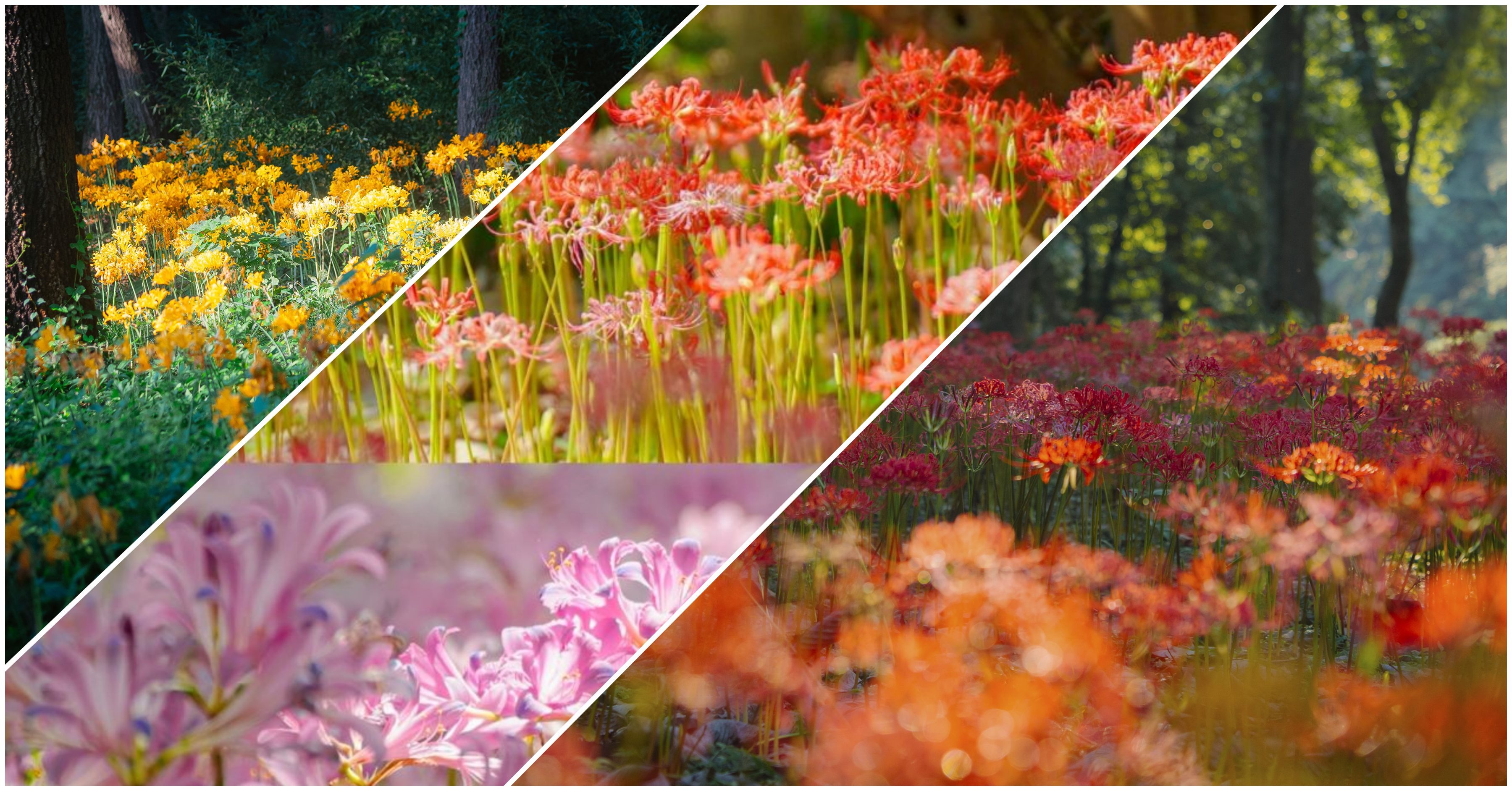 14th Five Year Plan Feature Our China Story 14th-five-year-plan-feature-our-china-story