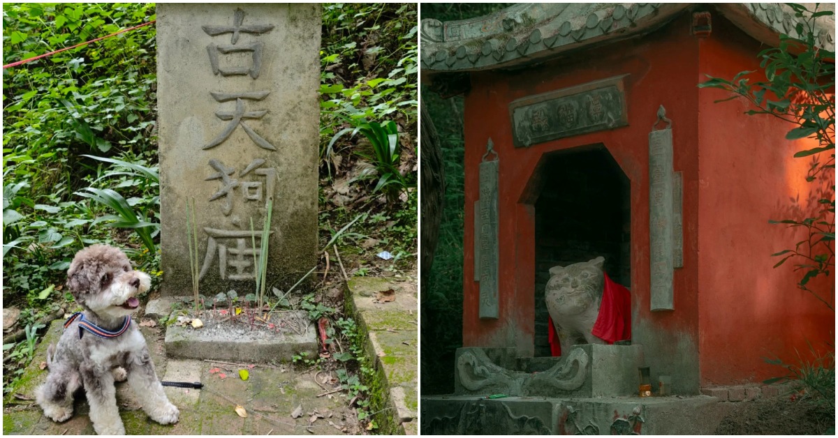 四川谭猫殿和古天狗庙