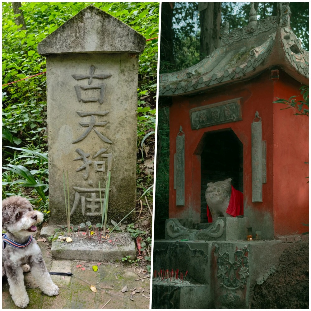 四川譚貓殿和古天狗廟