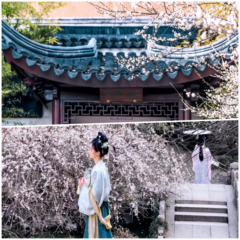 蘇州北寺塔梅圃