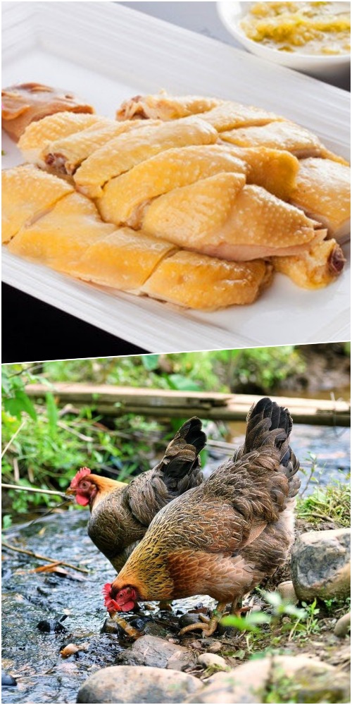 粵港澳大灣區菜籃子；清遠雞；跨境電商