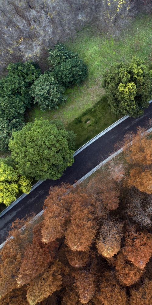 全國生態日；中國環保