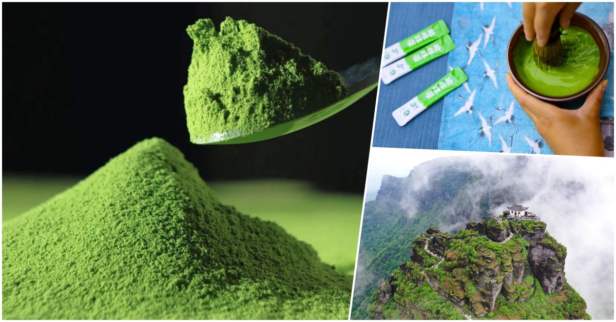 Guizhou Matcha