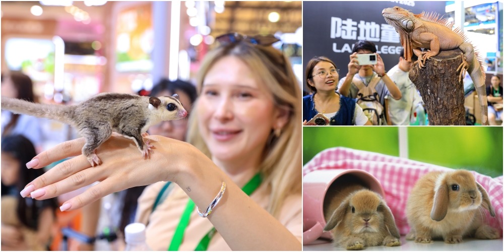 異寵經濟在內地興起，蜜袋鼯、柯爾鴨、垂耳兔、蜥蜴等動物受年輕人喜愛。