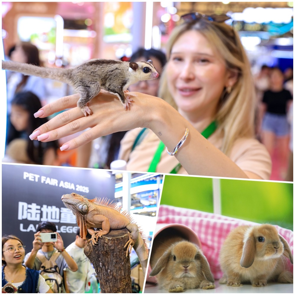 異寵經濟在內地興起，蜜袋鼯、柯爾鴨、垂耳兔、蜥蜴等動物受年輕人喜愛。
