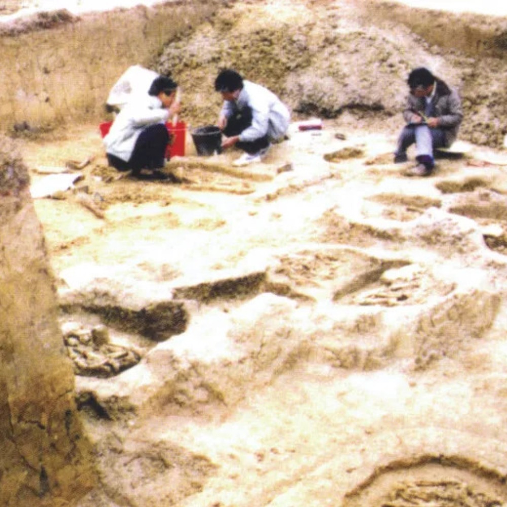 當代中國-當年今日-考古發現