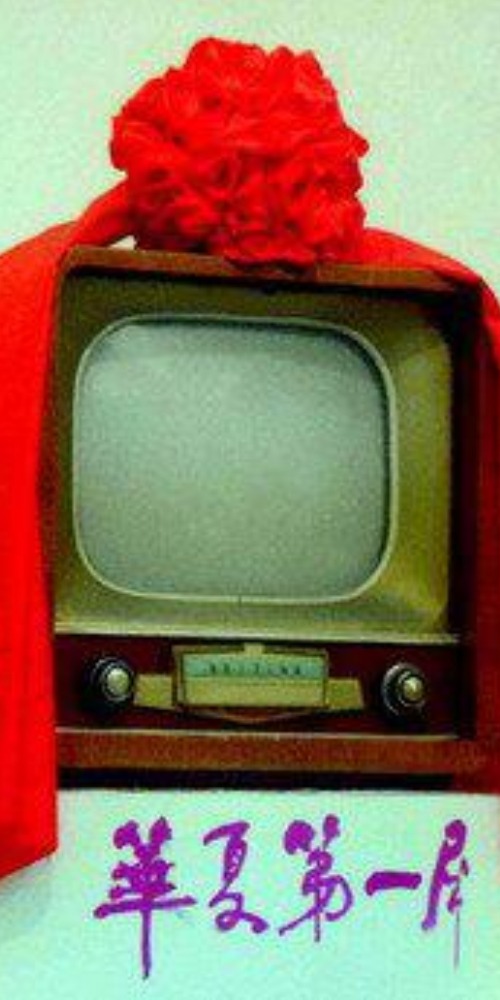 當代中國-當年今日-中國電視機