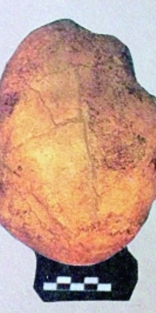 當代中國-當年今日-湯山猿人