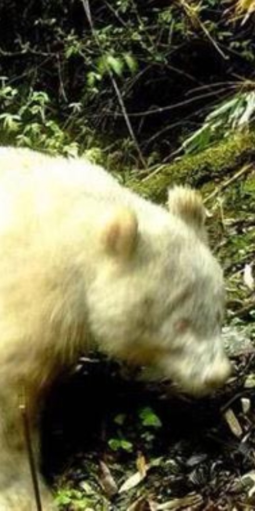 Contemporary China - On This Day - 