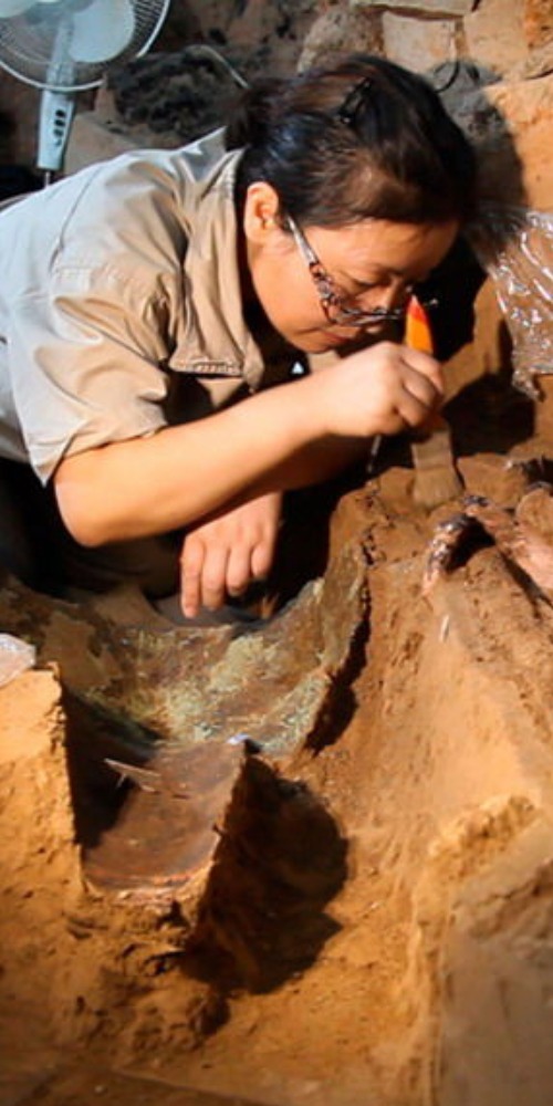 當代中國-當年今日-兵馬俑