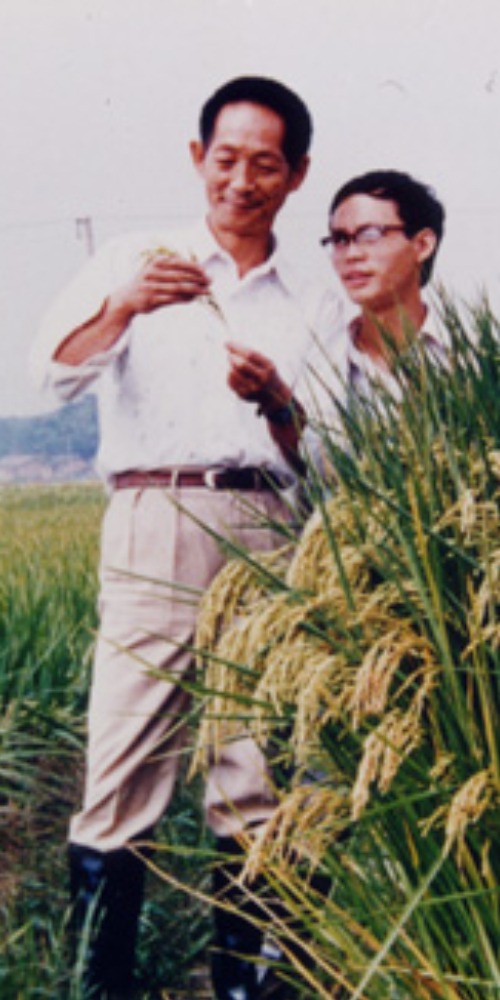 当代中国-当年今日-袁隆平获奖