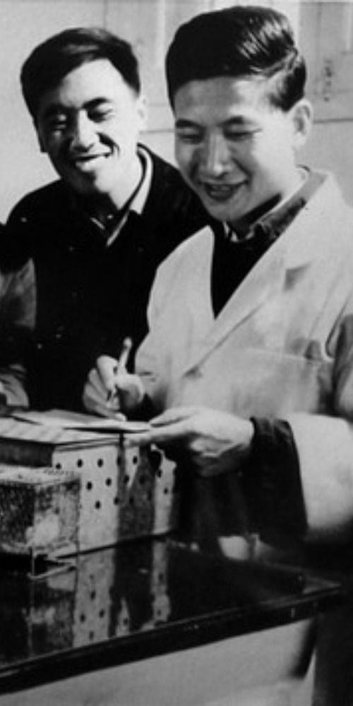 当代中国-当年今日-合成牛胰岛素