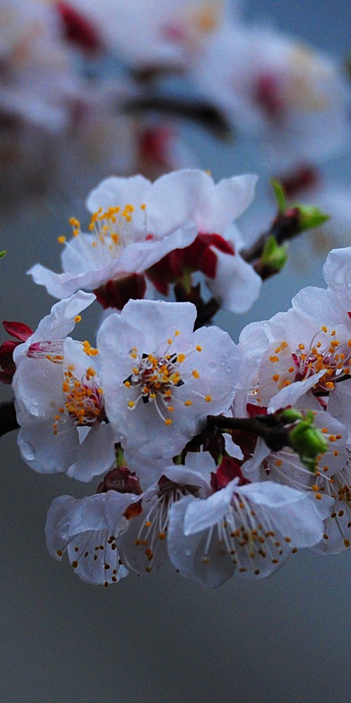 当代中国-当年今日-二十四节气