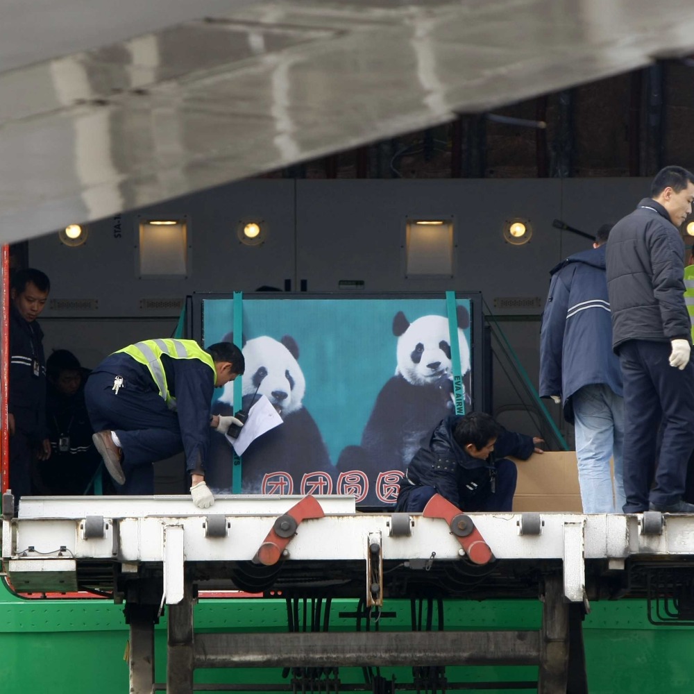 当代中国-当年今日-送赠熊猫