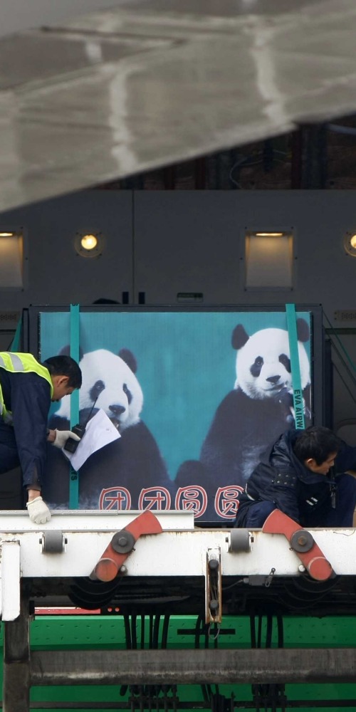 当代中国-当年今日-送赠熊猫
