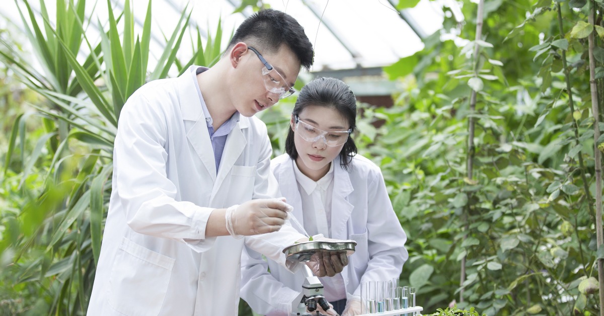 十四五規劃－創科人才－科技領軍人才