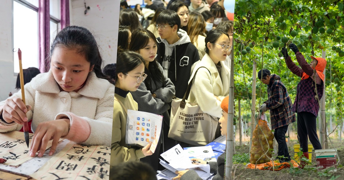 十四五民生篇教育就业