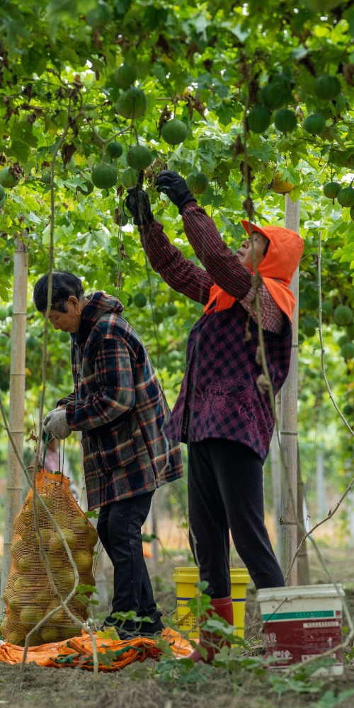 十四五民生篇教育就业