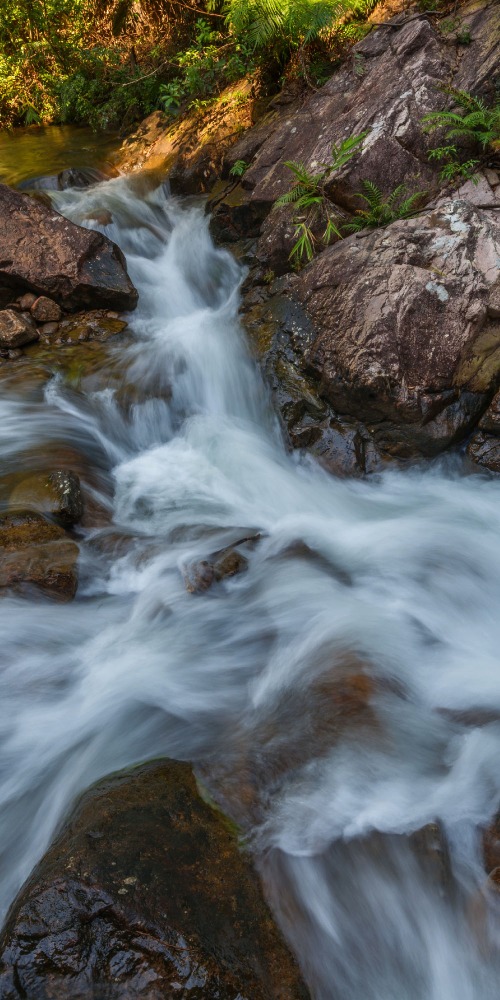 中国旅游-“天南第一梯”位于广州增城区的白水寨风景区，沿途不但有瀑布，还有多个观赏平台，方便观赏“白水仙瀑”