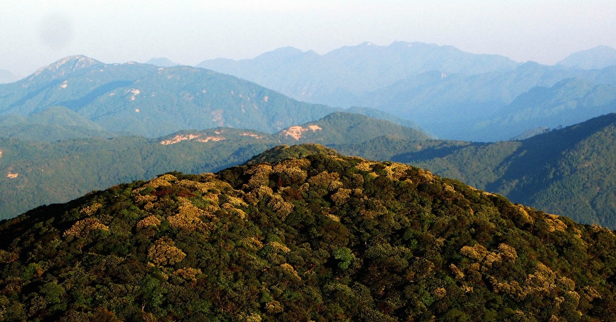 中國旅遊-廣東第一高峰-石坑崆
