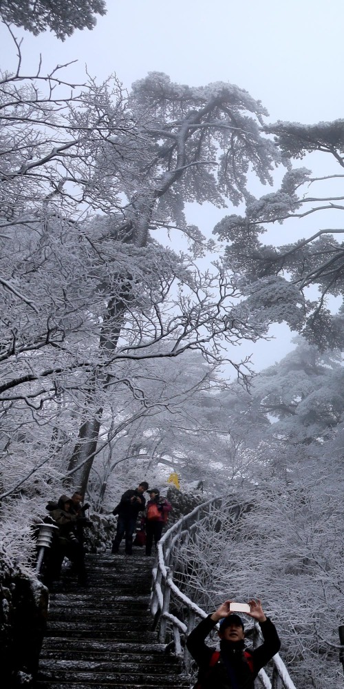 當代中國-中國旅遊-中國旅遊獨有美景黃山冬季賞霧凇雲海