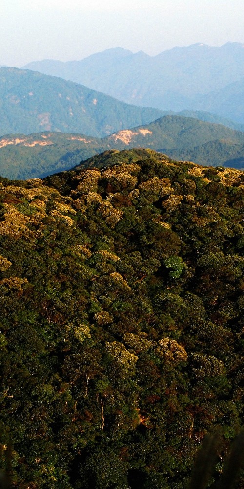 中国旅游-广东第一高峰-石坑崆
