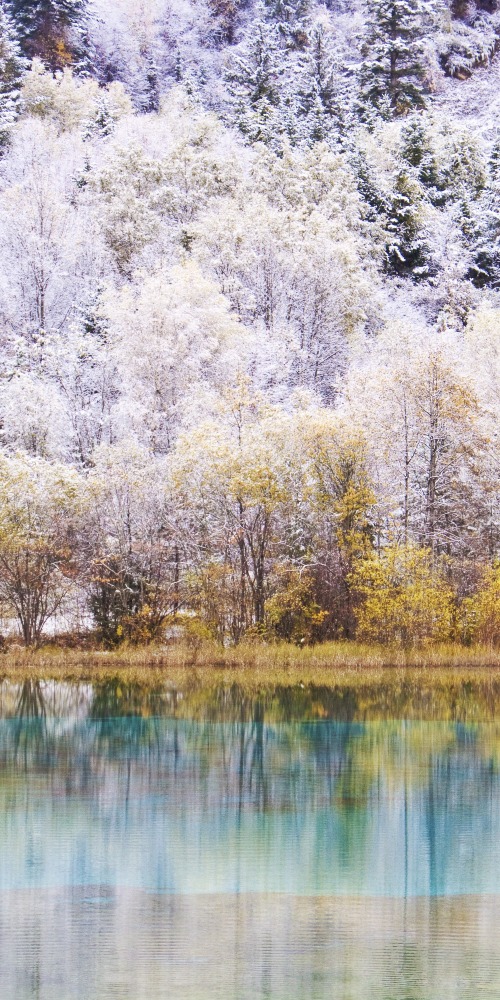  Contemporary China - China Travel - Admiring the Winter Beauty of Jiuzhaigou's Snowy Wonderland 