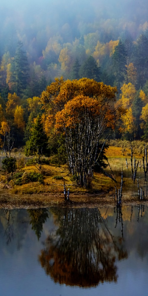 当代中国-潮游生活-旅游风物-普达措国家公园