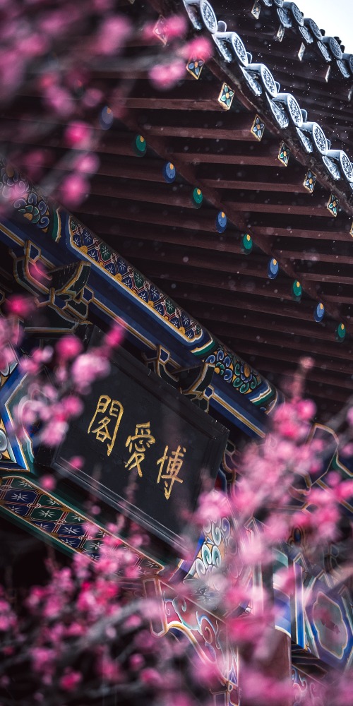 Nanjing's Meihua Mountain