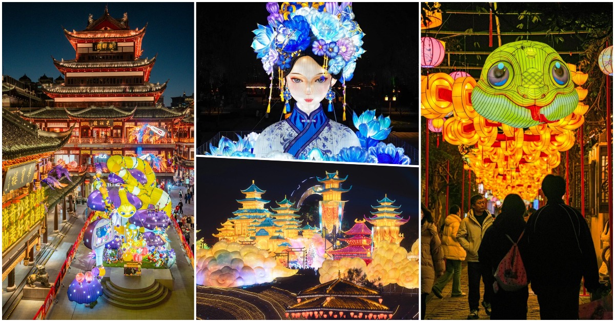A review of the 2025 National Spring Festival Year of the Snake Lantern Festivals