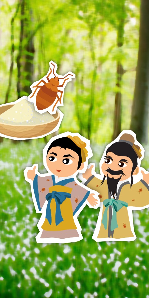 當代中國-中國文化-生虱代表風雅