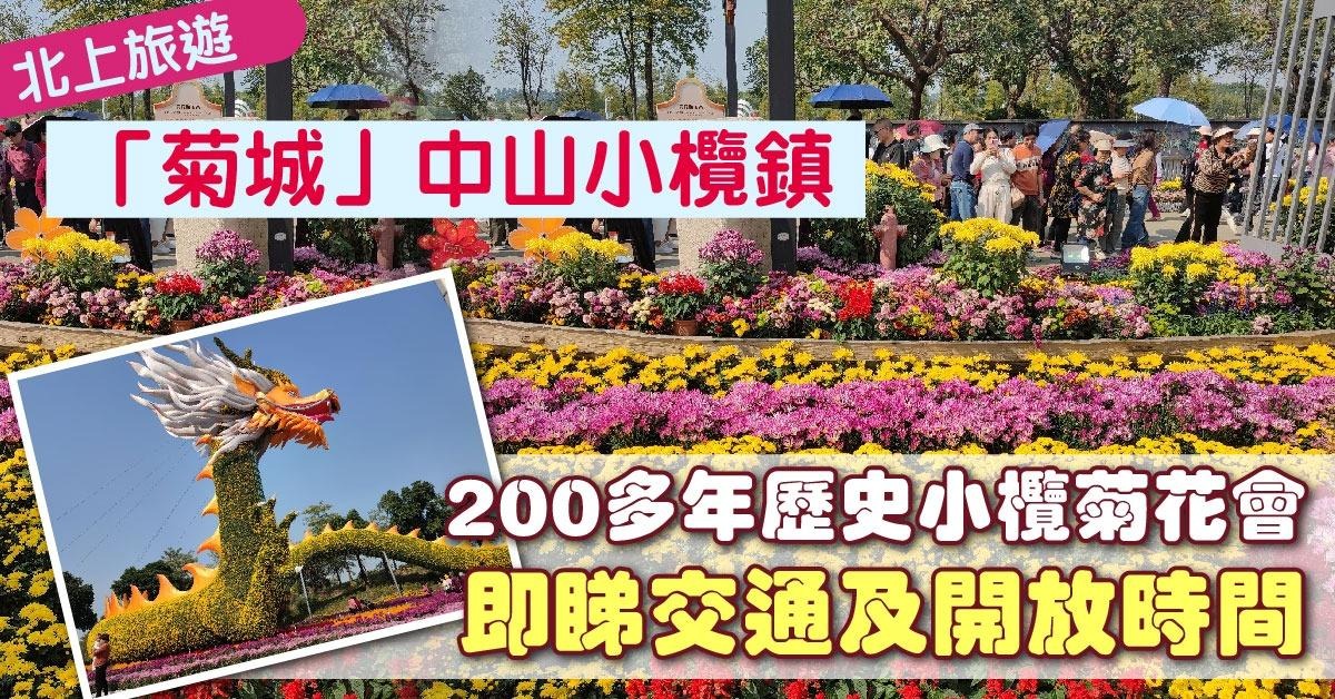 湾区打卡｜188米全国最长“菊花龙” 探秘中山小榄菊花会 | 一小时生活圈 | 乐活湾区 | 当代中国
